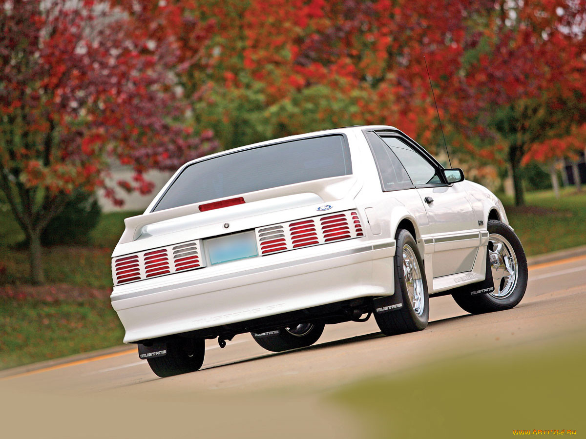 , mustang